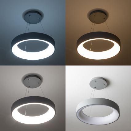 Brilagi - LED Dimmable Cable-Suspended Pendant FALCON LED/80W/230V 3000-6500K Ø 60 cm grey + remote control