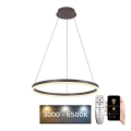 Brilagi - LED Dimmable pendant on cable CIRCLE LED/42W/230V 3000-6500K Ø 60 cm brown + remote control