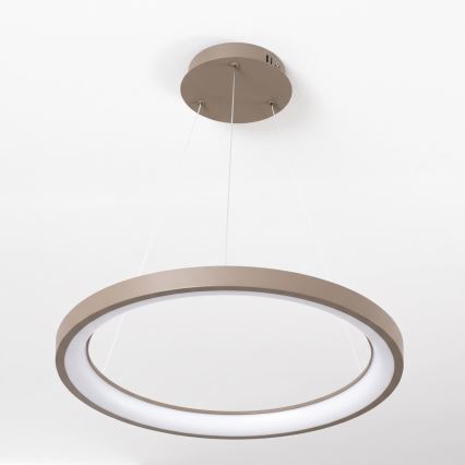 BRILAGI - LED Dimmable pendant light on cable FALCON SLIM LED/42W/230V 3000-6500K pr. 50 cm beige + remote control