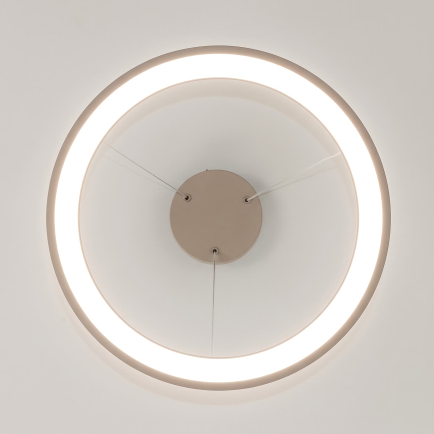 BRILAGI - LED Dimmable pendant light on cable FALCON SLIM LED/42W/230V 3000-6500K pr. 50 cm beige + remote control