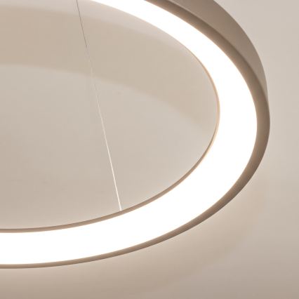 BRILAGI - LED Dimmable pendant light on cable FALCON SLIM LED/42W/230V 3000-6500K pr. 50 cm beige + remote control