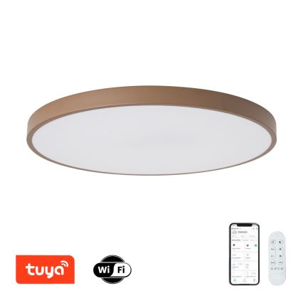 Brilagi - POOL SMART LED Dimmable Fixture / 100W / 230V, Ø 80 cm, 3000–6000K, Wi‑Fi (Tuya) + Remote Control, Brown