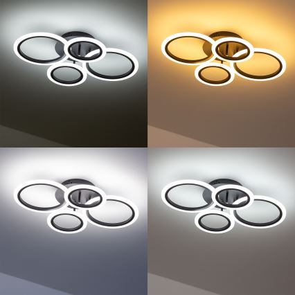 Brilagi - LED Dimmable surface-mounted chandelier ORBITS LED/50W/230V 3000-6500K anthracite + remote control