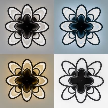 Brilagi - LED Dimmable surface-mounted chandelier TWIST LED/125W/230V 3000-6500K + remote control