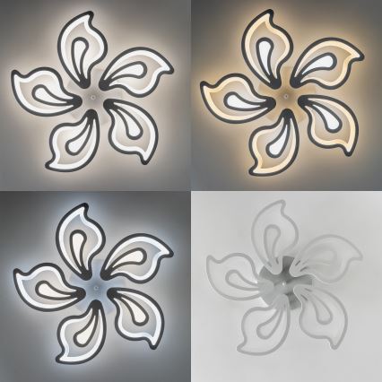 Brilagi - LED Dimmable surface-mounted chandelier TWIST LED/125W/230V 3000-6500K + remote control