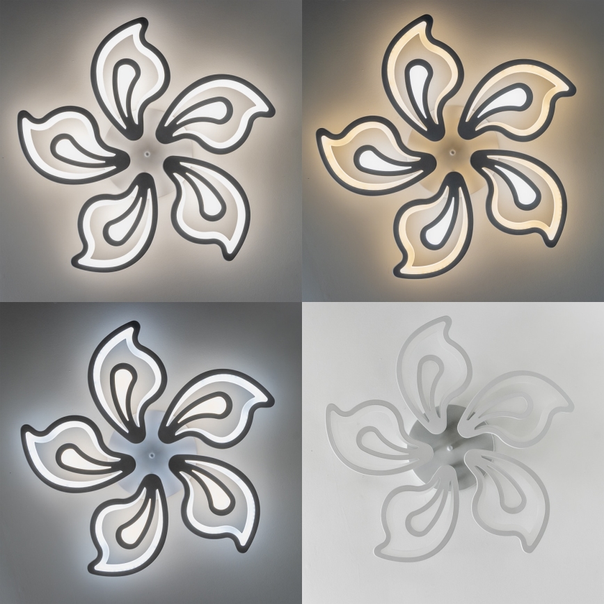 Brilagi - LED Dimmable surface-mounted chandelier TWIST LED/125W/230V 3000-6500K + remote control