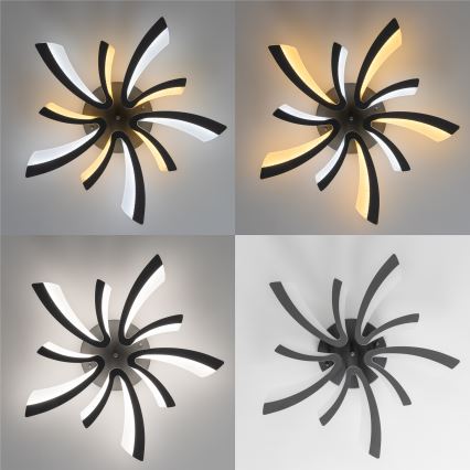 Brilagi - LED Dimmable surface-mounted chandelier TWIST LED/55W/230V 3000-6500K anthracite + remote control