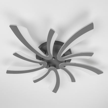 Brilagi - LED Dimmable surface-mounted chandelier TWIST LED/55W/230V 3000-6500K anthracite + remote control