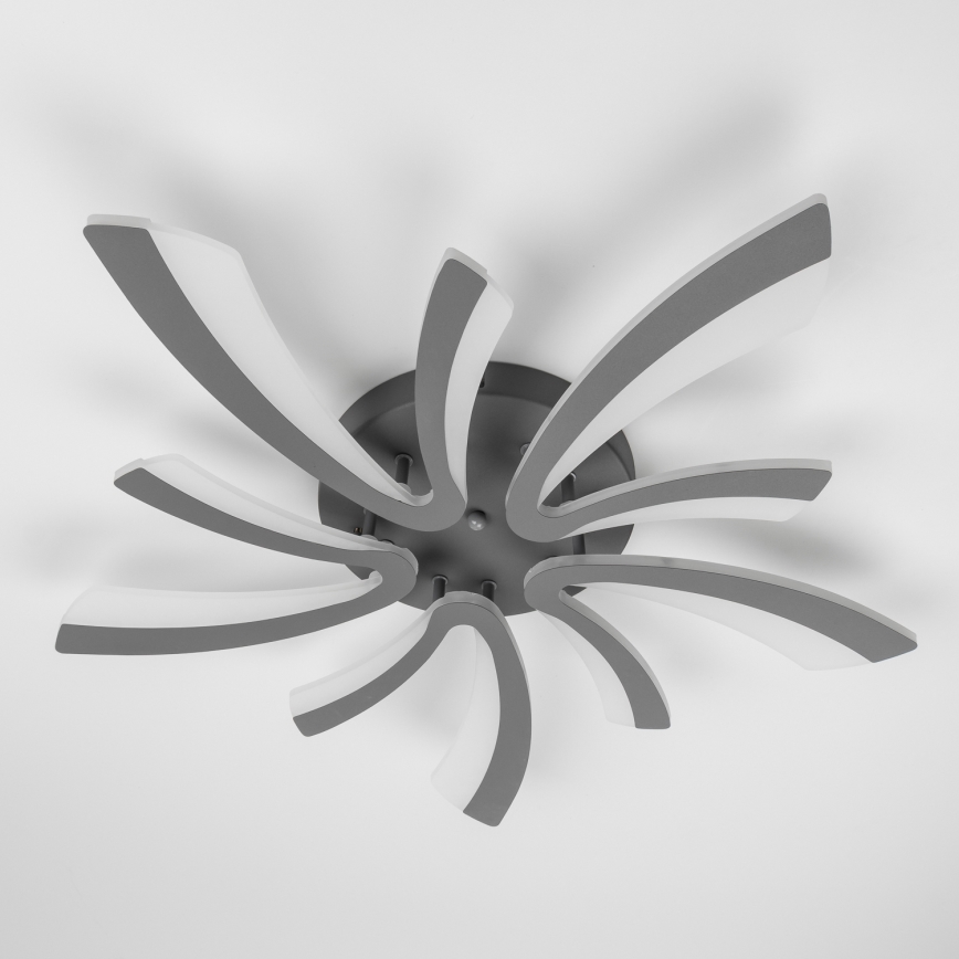 Brilagi - LED Dimmable surface-mounted chandelier TWIST LED/55W/230V 3000-6500K anthracite + remote control