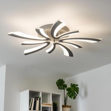 Brilagi - LED Dimmable surface-mounted chandelier TWIST LED/55W/230V 3000-6500K anthracite + remote control
