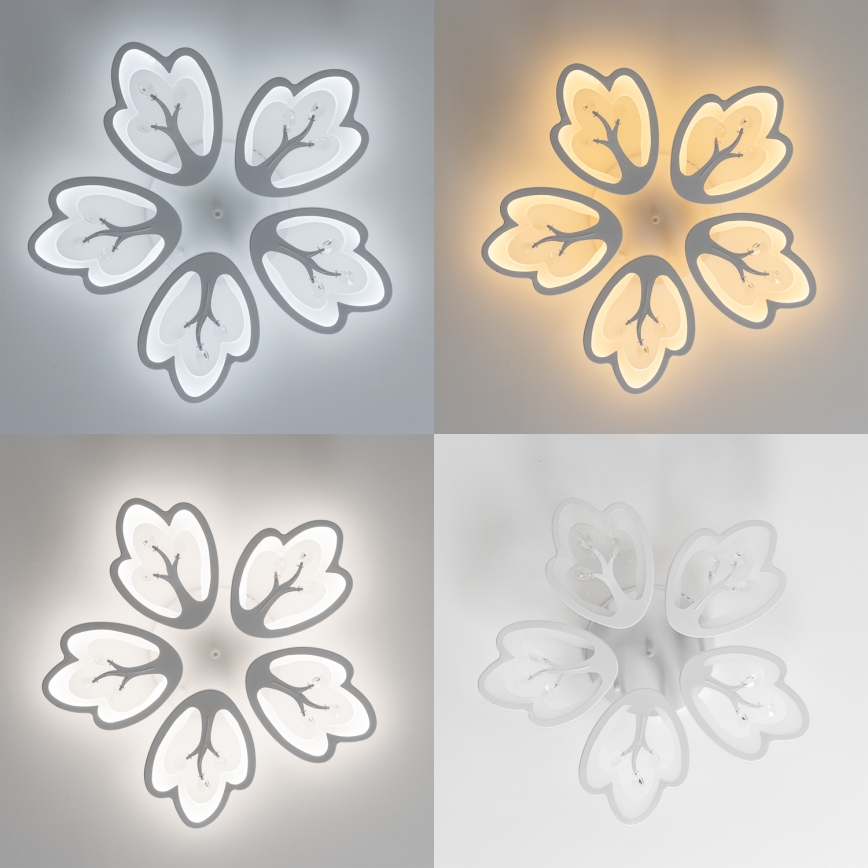 Brilagi - LED Dimmable surface-mounted chandelier TWIST LED/80W/230V 3000-6500K white + remote control