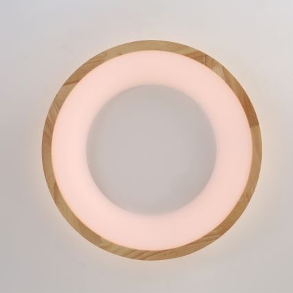 Brilagi - FALCON WOOD LED Ceiling Light, 30W, 230V, 3000/4000/6000K, Ø45 cm, Wood