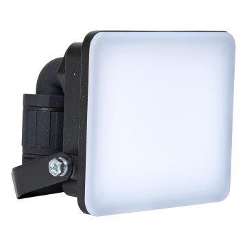 Brilagi - LED Floodlight ELARA PRO LED/10W/230V IP65