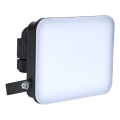 BRILAGI - LED Floodlight ELARA PRO LED/30W/230V IP65