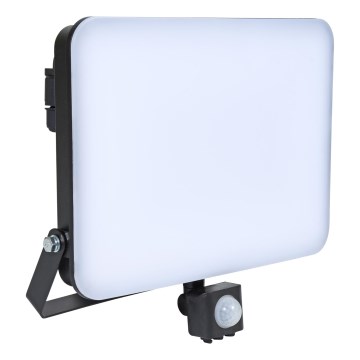 Brilagi - LED Floodlight with a sensor ELARA PRO LED/100W/230V IP65