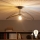 Brilagi - LED Flush-Mount Chandelier CERIA WIRE 1xE27/60W/230V 40x56 cm black/bronze