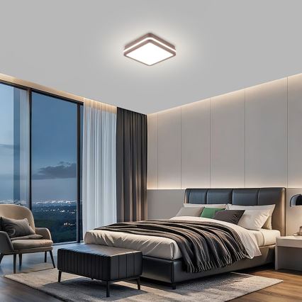 Brilagi - LED Outdoor ceiling light BENE LED/18W/230V 21,5x21,5 cm brown IP54