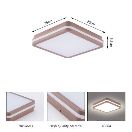 Brilagi - BENE LED Outdoor Ceiling Light LED/24W/230V 26x26 cm Brown IP54