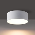 BRILAGI - LED outdoor ceiling light FORIS LED/14W/230V pr. 12 cm white IP44