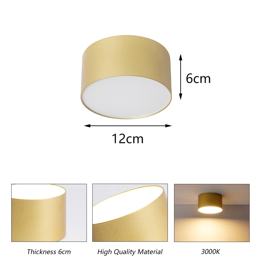 BRILAGI - LED Outdoor ceiling light FORIS LED/14W/230V Ø 12 cm gold IP44