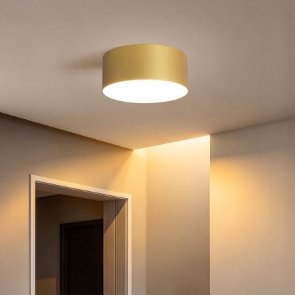 BRILAGI - LED Outdoor ceiling light FORIS LED/20W/230V Ø 15 cm gold IP44