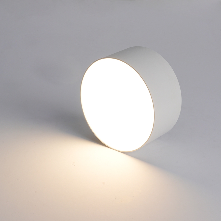 BRILAGI - LED outdoor ceiling light FORIS LED/20W/230V Ø 15 cm white IP44