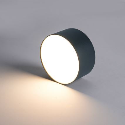 BRILAGI - FORIS LED/9W/230V Outdoor Ceiling Light Ø 9 cm Anthracite IP44