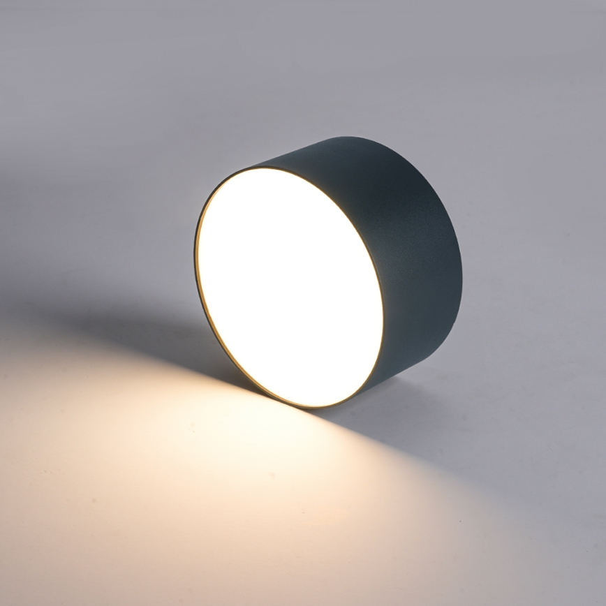 BRILAGI - FORIS LED/9W/230V Outdoor Ceiling Light Ø 9 cm Anthracite IP44