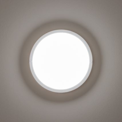 Brilagi - LED Outdoor ceiling light LED/13W/230V d. 17 cm IP54
