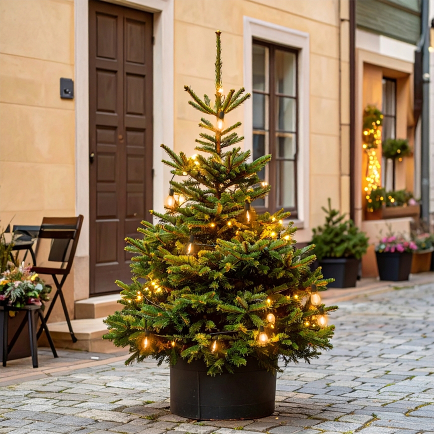 Brilagi - LED Outdoor Decorative String Lights 10xLED/3xAA 3,2m IP44 Warm White