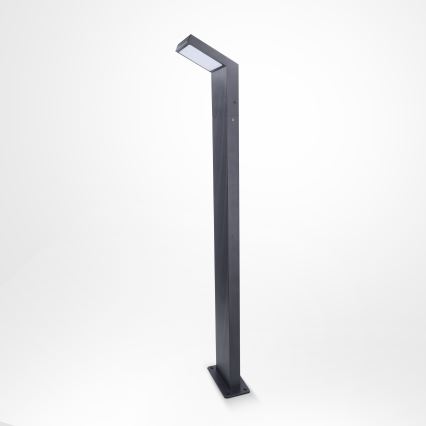 Brilagi - LED Outdoor Lamp RIANO LED/8W/230V Anthracite IP65 80 cm