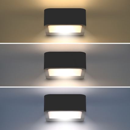 Brilagi - LED Outdoor wall light BARI LED/7W/230V 3000/4000/6000K anthracite IP54