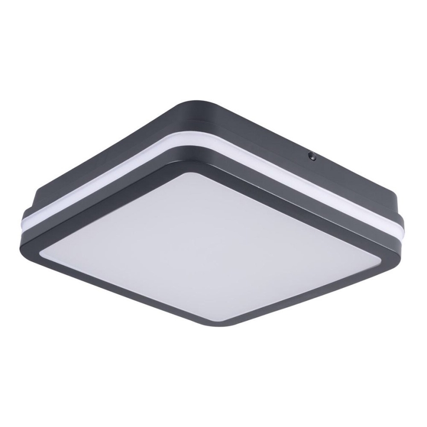 Brilagi - LED Outdoor light BENE LED/18W/230V 22x22 cm anthracite IP54