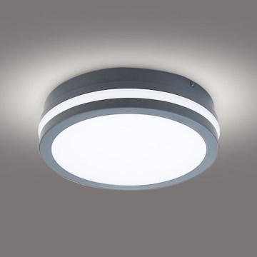 Brilagi - LED Outdoor light BENE LED/18W/230V d. 22 cm anthracite IP54