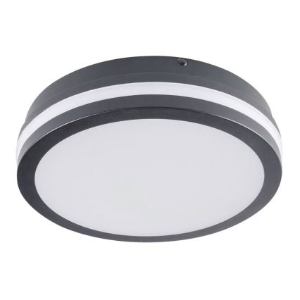 Brilagi - LED Outdoor light BENE LED/18W/230V d. 22 cm anthracite IP54