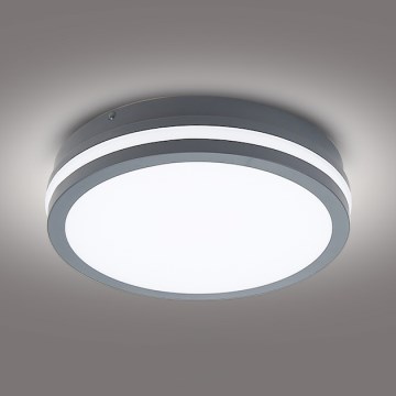 Brilagi - LED Outdoor light BENE LED/24W/230V d. 26 cm anthracite IP54