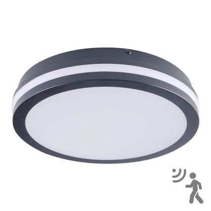 Brilagi - LED Outdoor light with sensor BENE LED/24W/230V d. 26 cm anthracite IP54