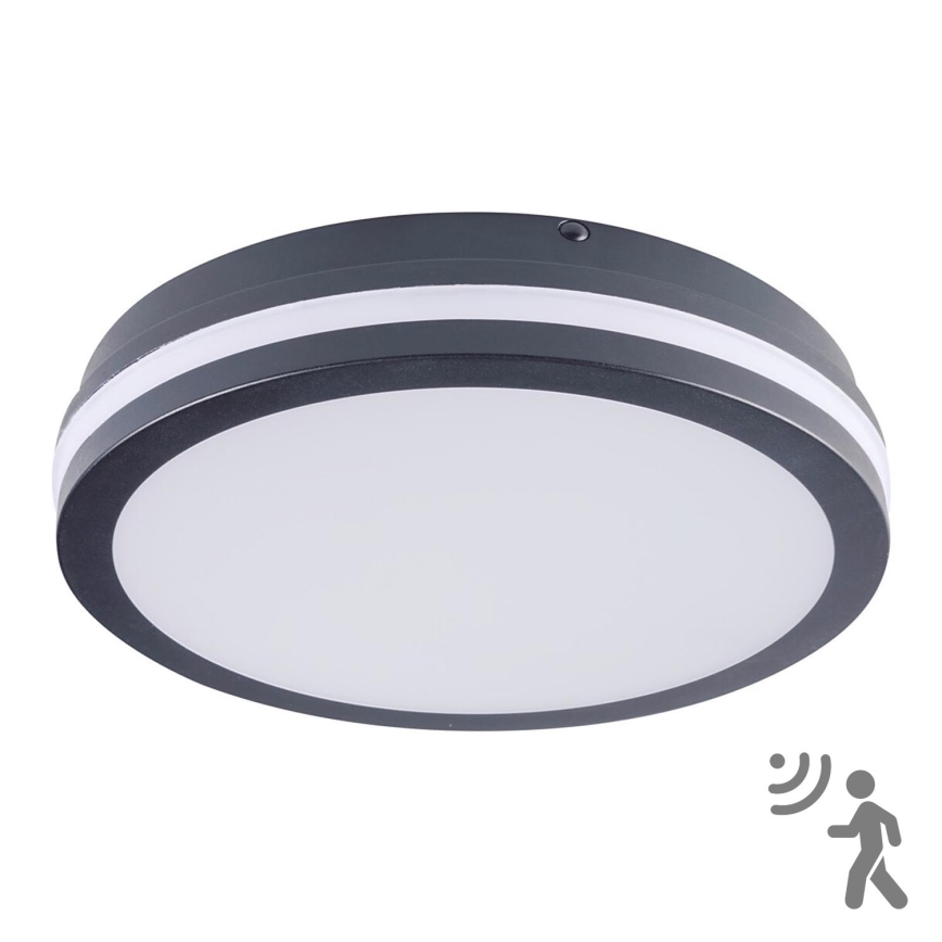 Brilagi - LED Outdoor light with sensor BENE LED/24W/230V d. 26 cm anthracite IP54