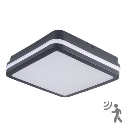 Brilagi - BENE LED Outdoor Light with Sensor LED/18W/230V 22x22 cm Anthracite IP54