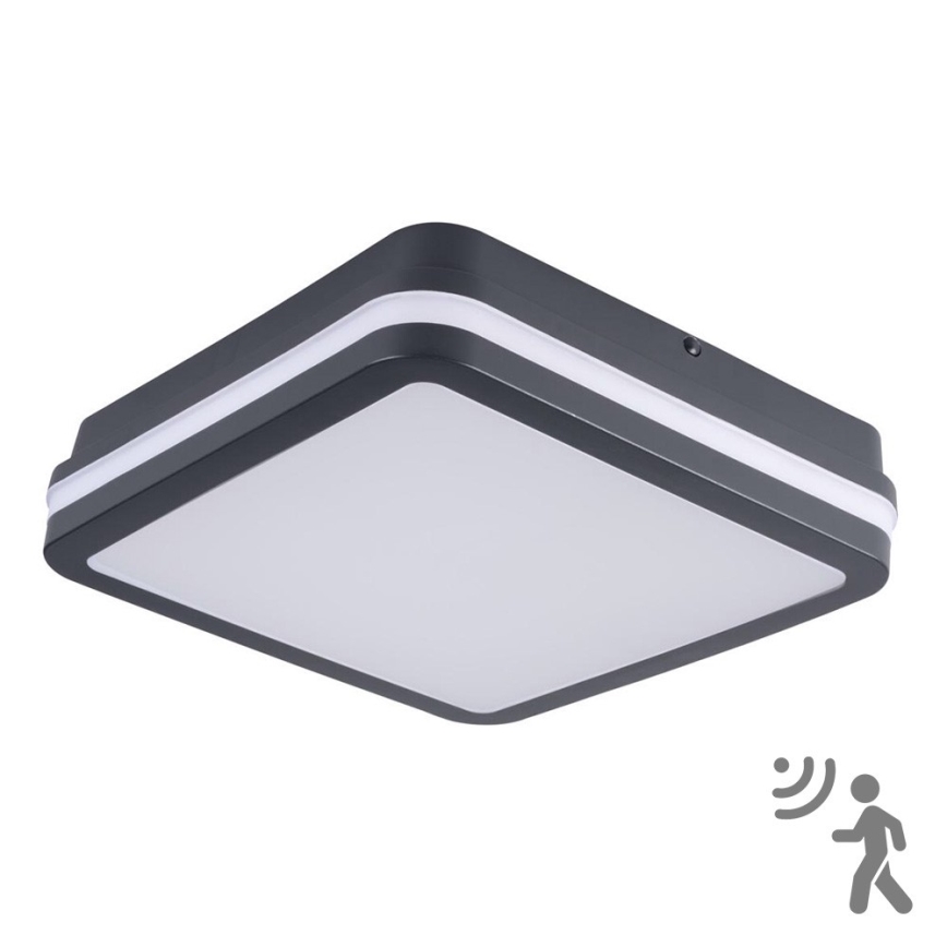 Brilagi - BENE LED Outdoor Light with Sensor LED/18W/230V 22x22 cm Anthracite IP54