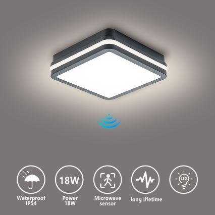 Brilagi - BENE LED Outdoor Light with Sensor LED/18W/230V 22x22 cm Anthracite IP54