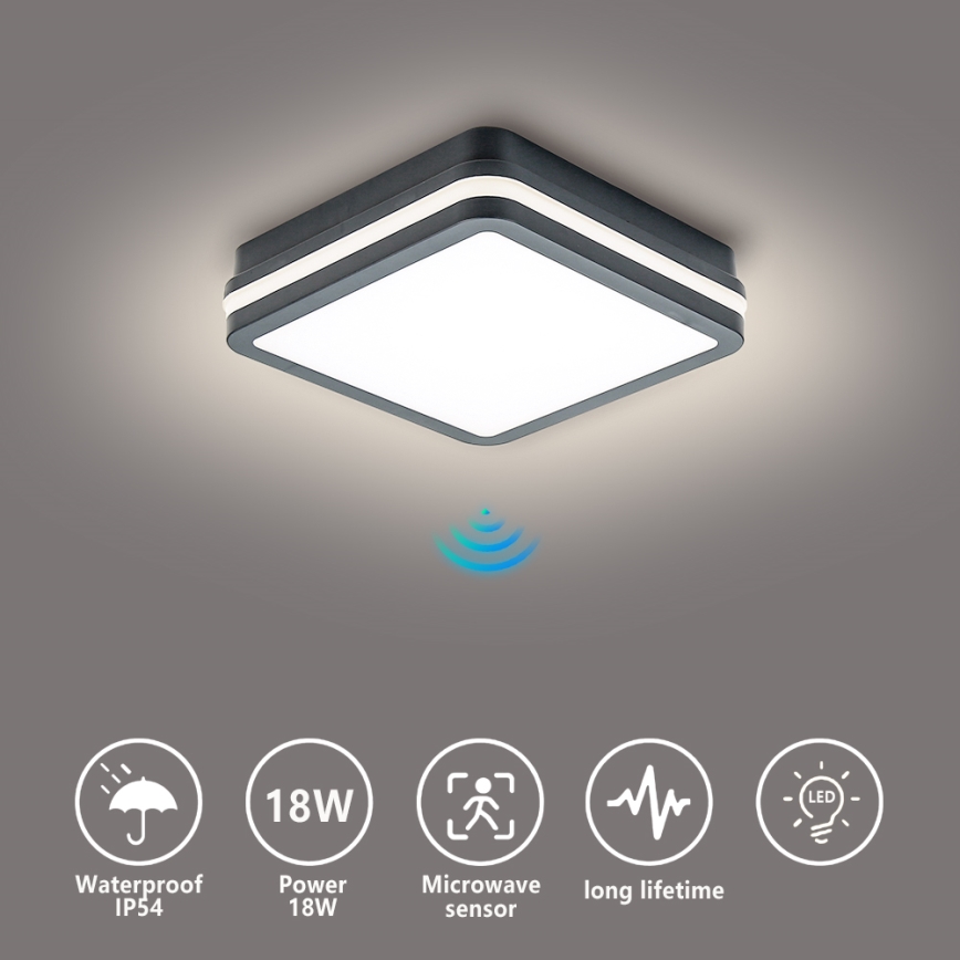 Brilagi - BENE LED Outdoor Light with Sensor LED/18W/230V 22x22 cm Anthracite IP54