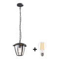 BRILAGI -  LED Outdoor pendant light LUNA 1xE27/60W/230V IP44