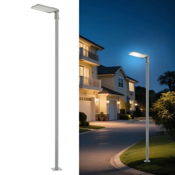 Brilagi - LED Outdoor Street Lamp with 3 m Post and Swivel Joint URBANLIGHT LED/200W/230V grey IP65