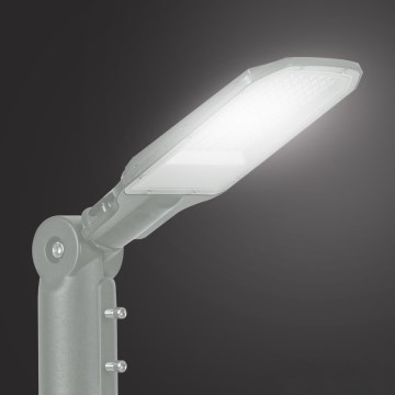Brilagi - LED Outdoor Street Light URBANLIGHT LED/50W/230V Grey IP65