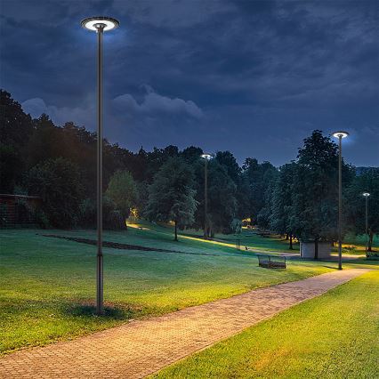 Brilagi - LED Outdoor Street Lamp with 5 m Pole URBANSPARK LED/120W/230V Black IP65