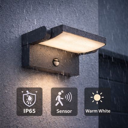 BRILAGI - LED outdoor wall light with motion and dusk sensor ANKLE LED/12W/230V IP65 black