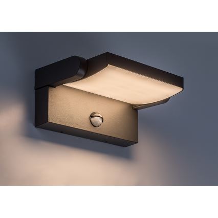 BRILAGI - LED outdoor wall light with motion and dusk sensor ANKLE LED/12W/230V IP65 black
