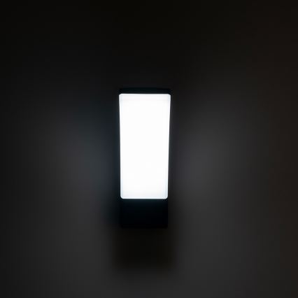 BRILAGI - LED Outdoor wall light ARCELO LED/12W/230V IP65 black