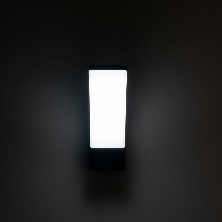BRILAGI - LED Outdoor wall light ARCELO LED/12W/230V IP65 black